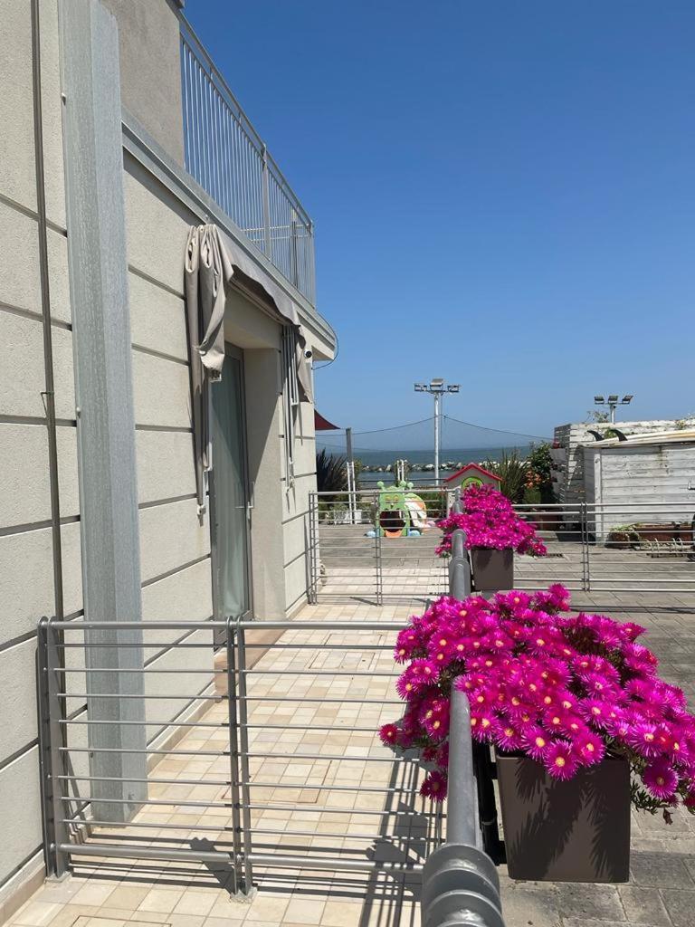 Hotel & Residence Cavalluccio Marino Rimini Exterior photo