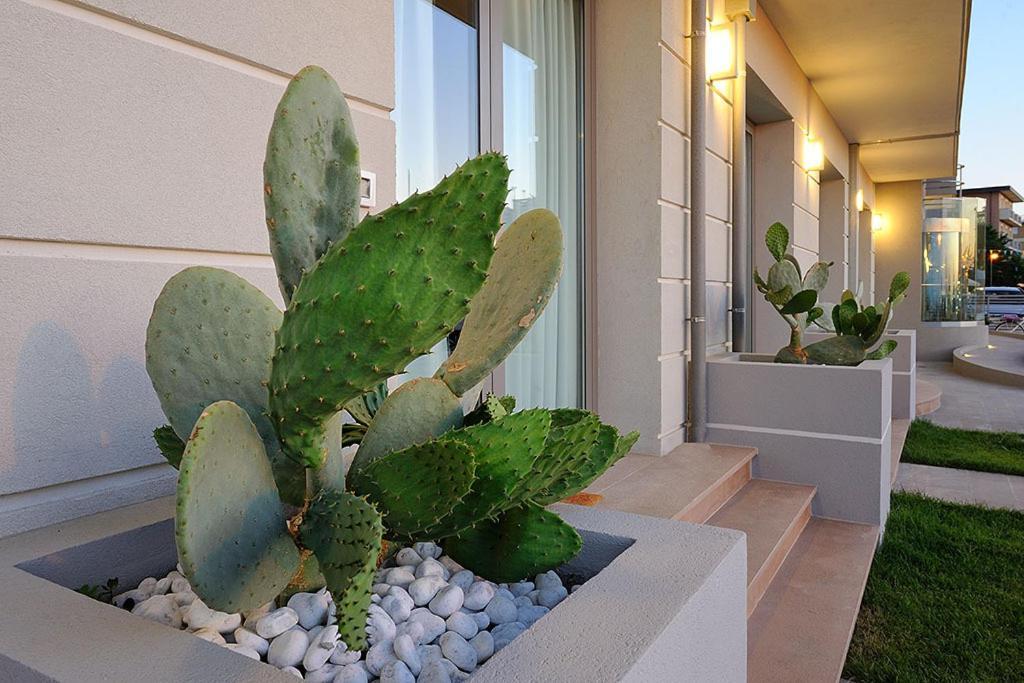 Hotel & Residence Cavalluccio Marino Rimini Exterior photo